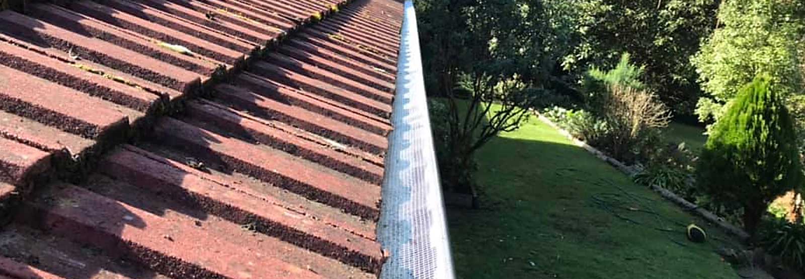 service area gutter cleaning redback